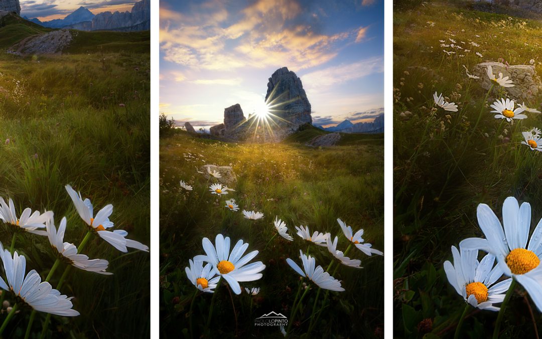 tecnica del focus stacking