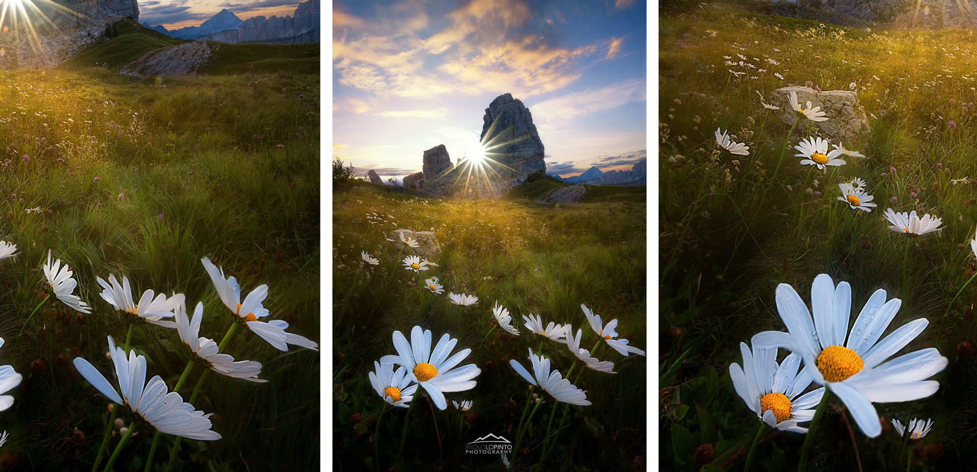 tecnica del focus stacking