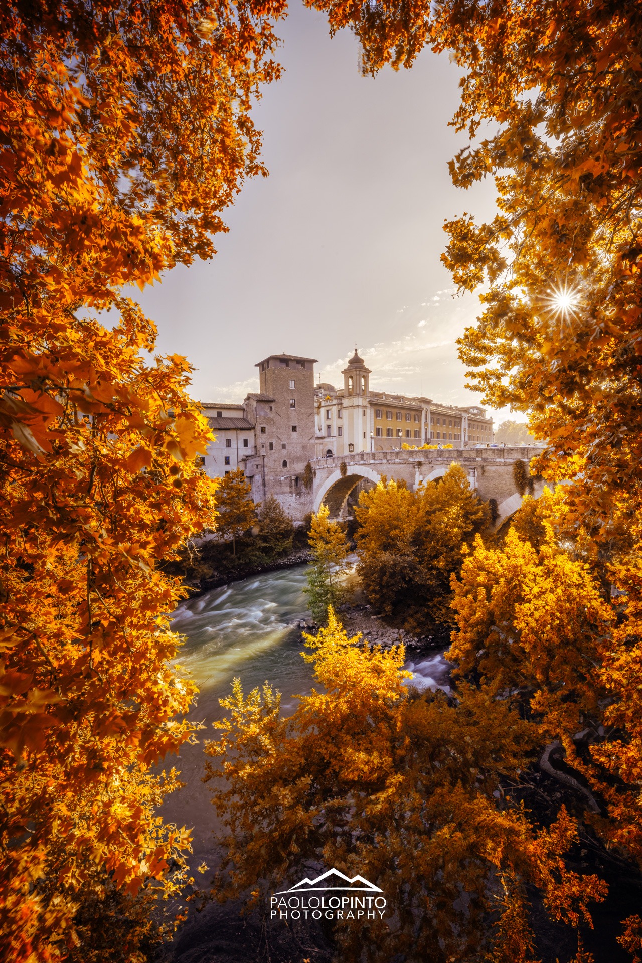 workshop-foliage-roma-autunno