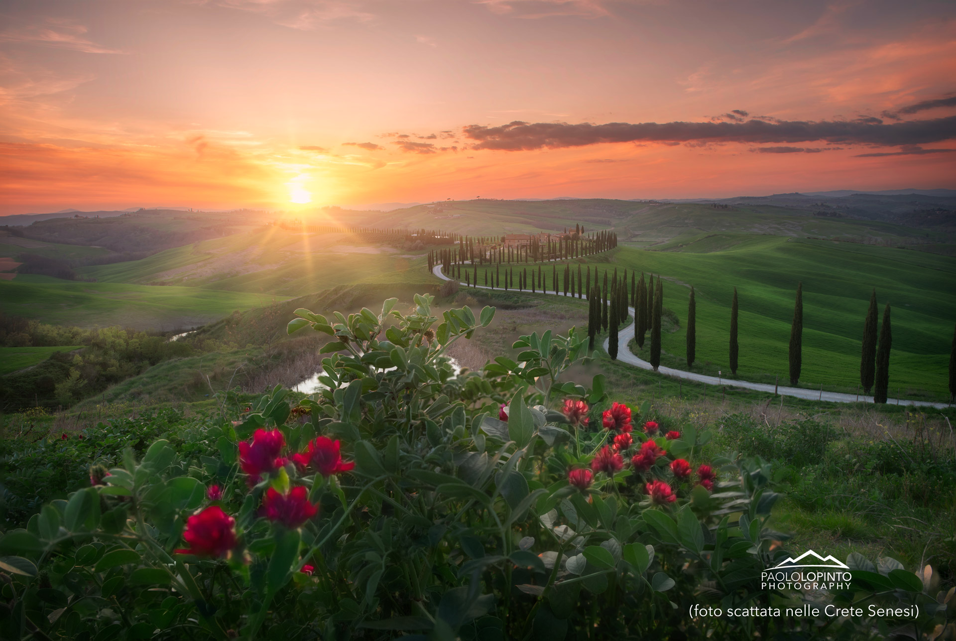 workshop di fotografia in Val d'Orcia