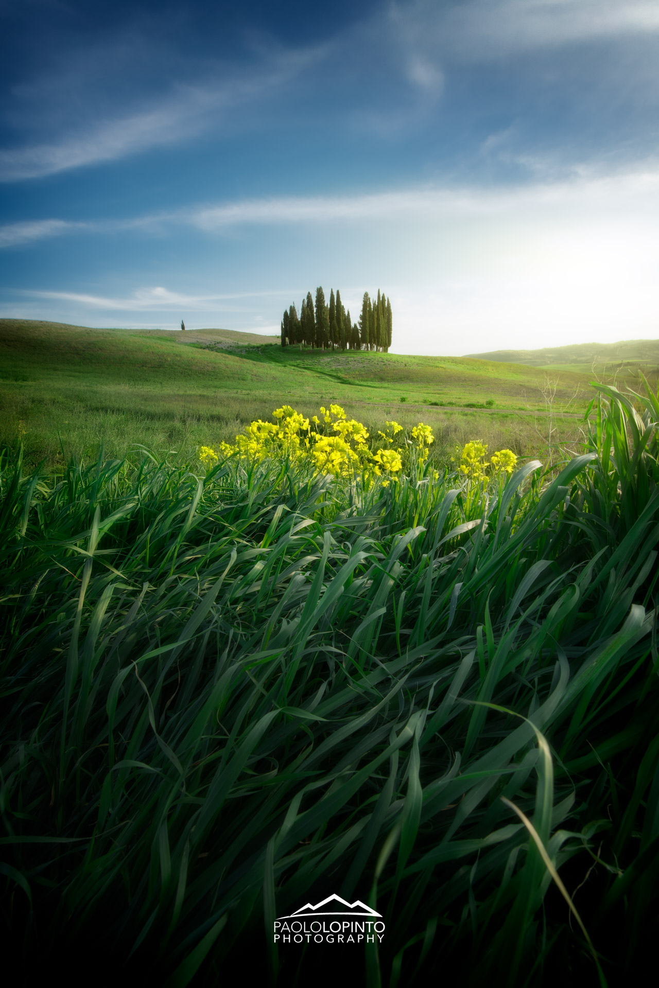 workshop di fotografia in Val d'Orcia