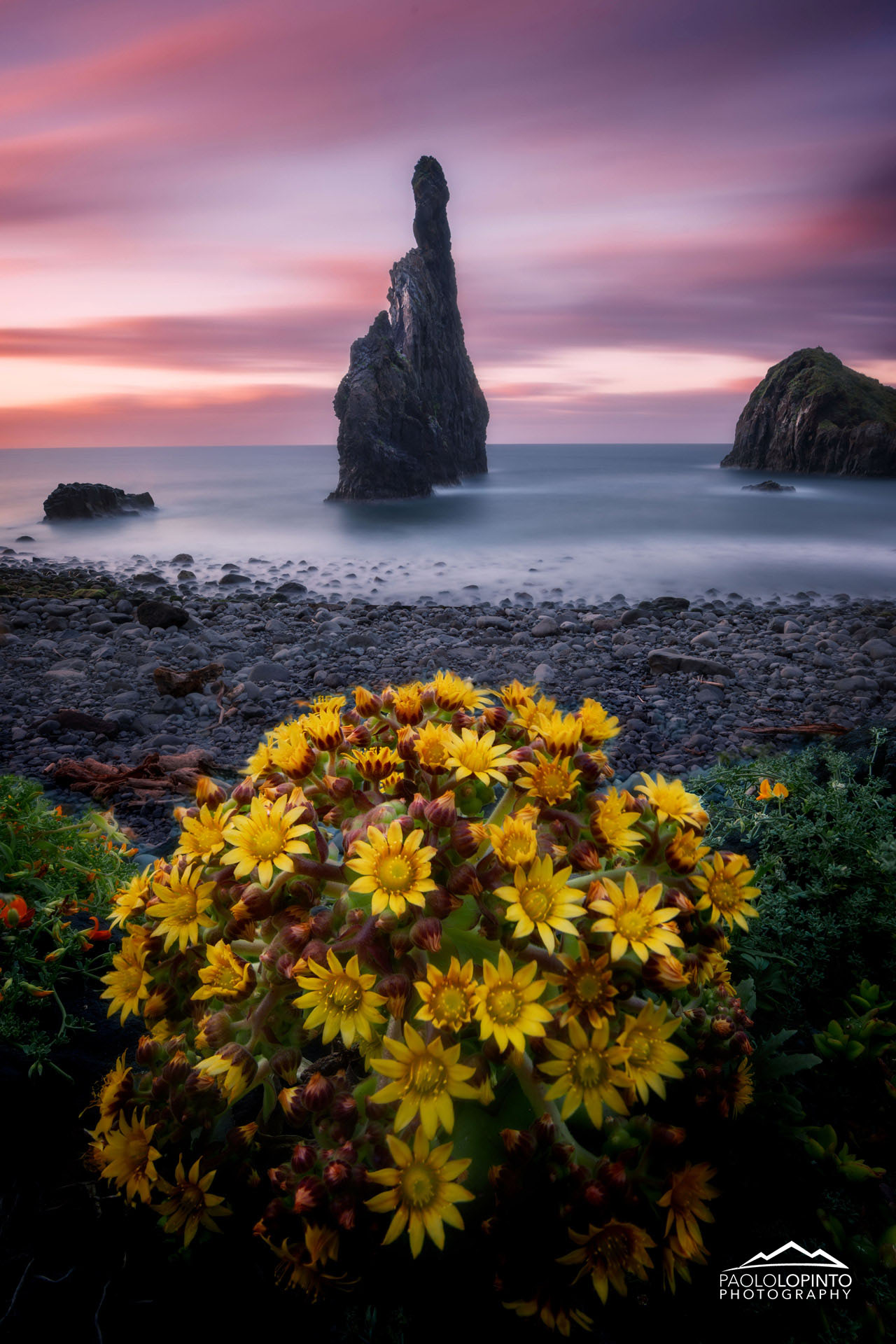 viaggio fotografico madeira