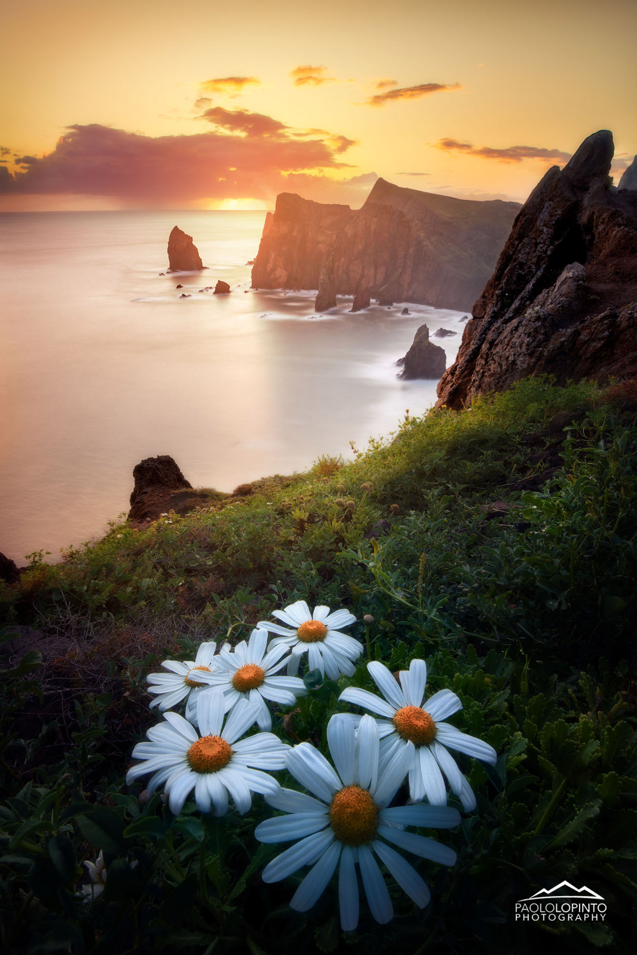 viaggio fotografico madeira
