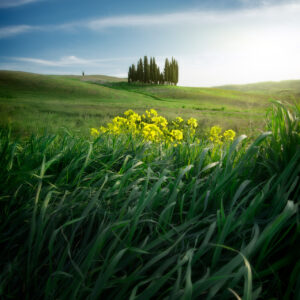 workshop di fotografia val d'orcia