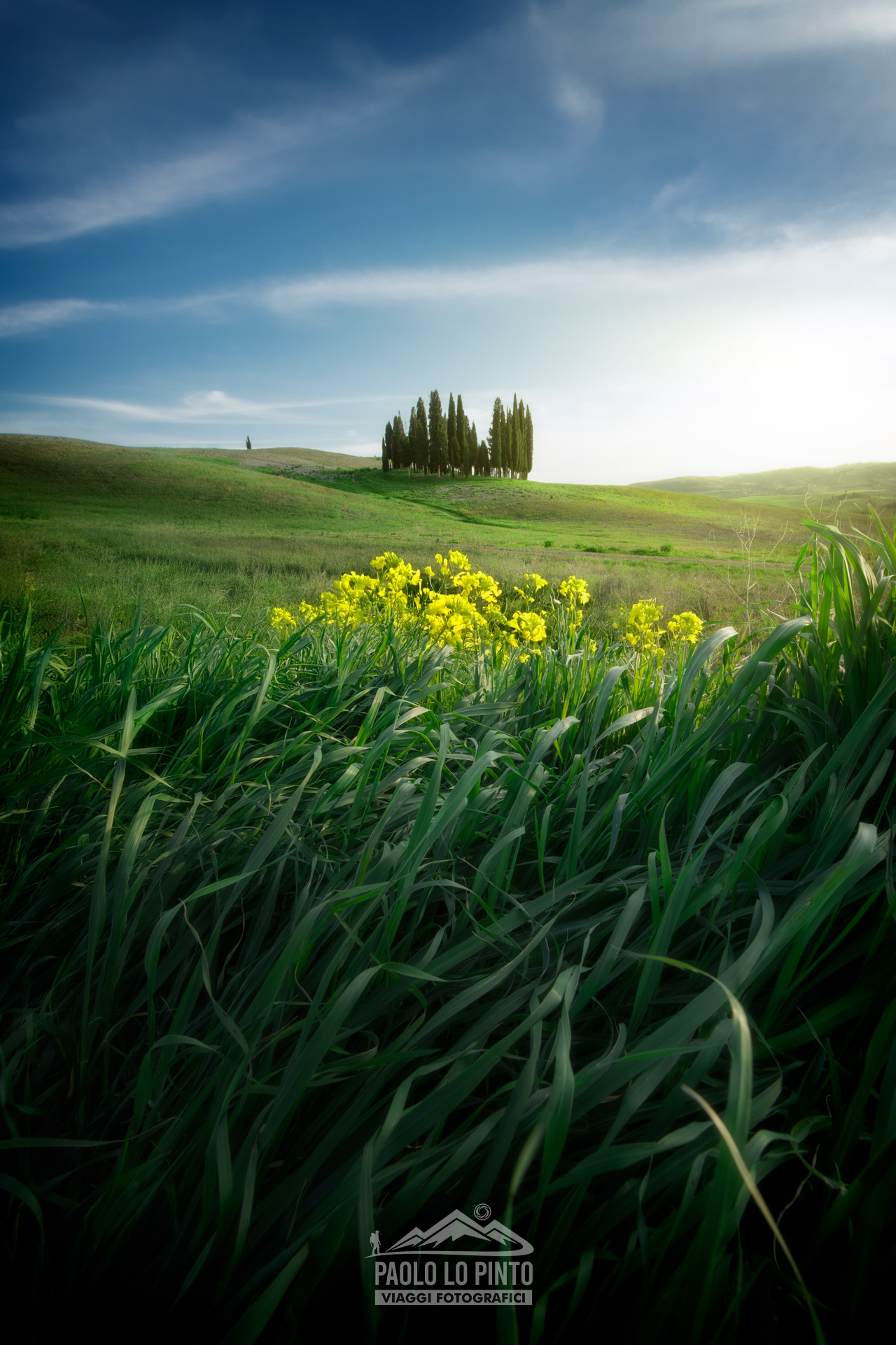 workshop-fotografico-val-d-orcia 3 workshop di fotografia val d'orcia