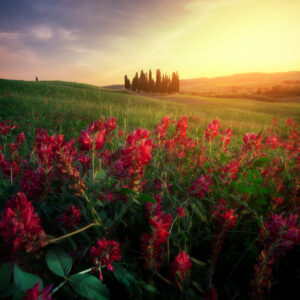 workshop di fotografia val d'orcia