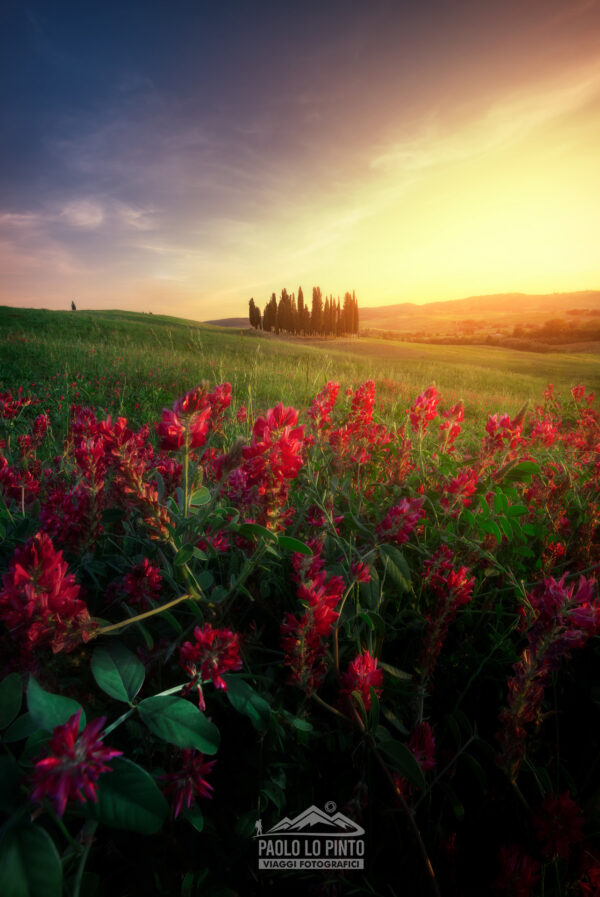 workshop di fotografia val d'orcia