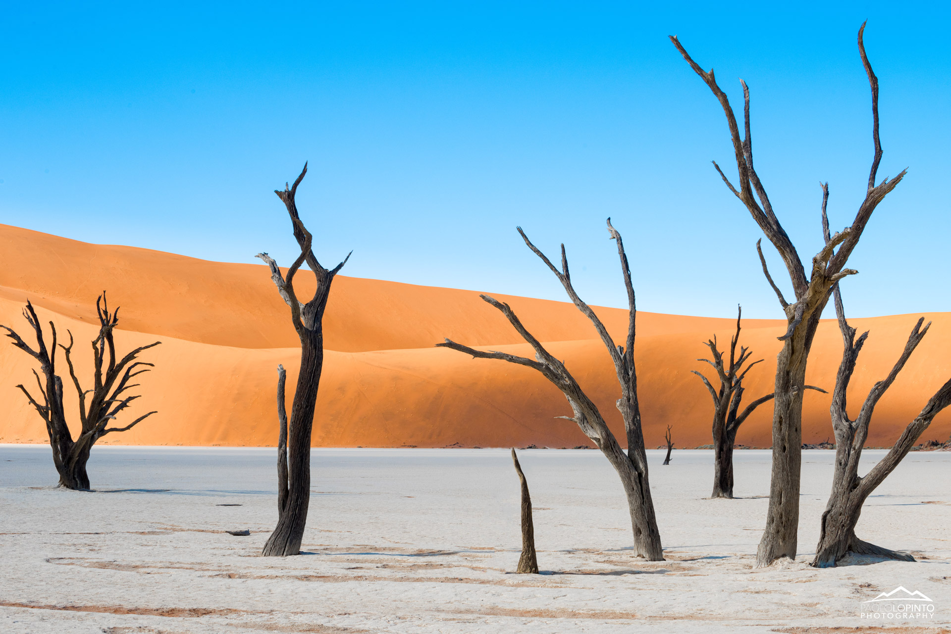 Deadvlei Namibia dune alberi acacia
