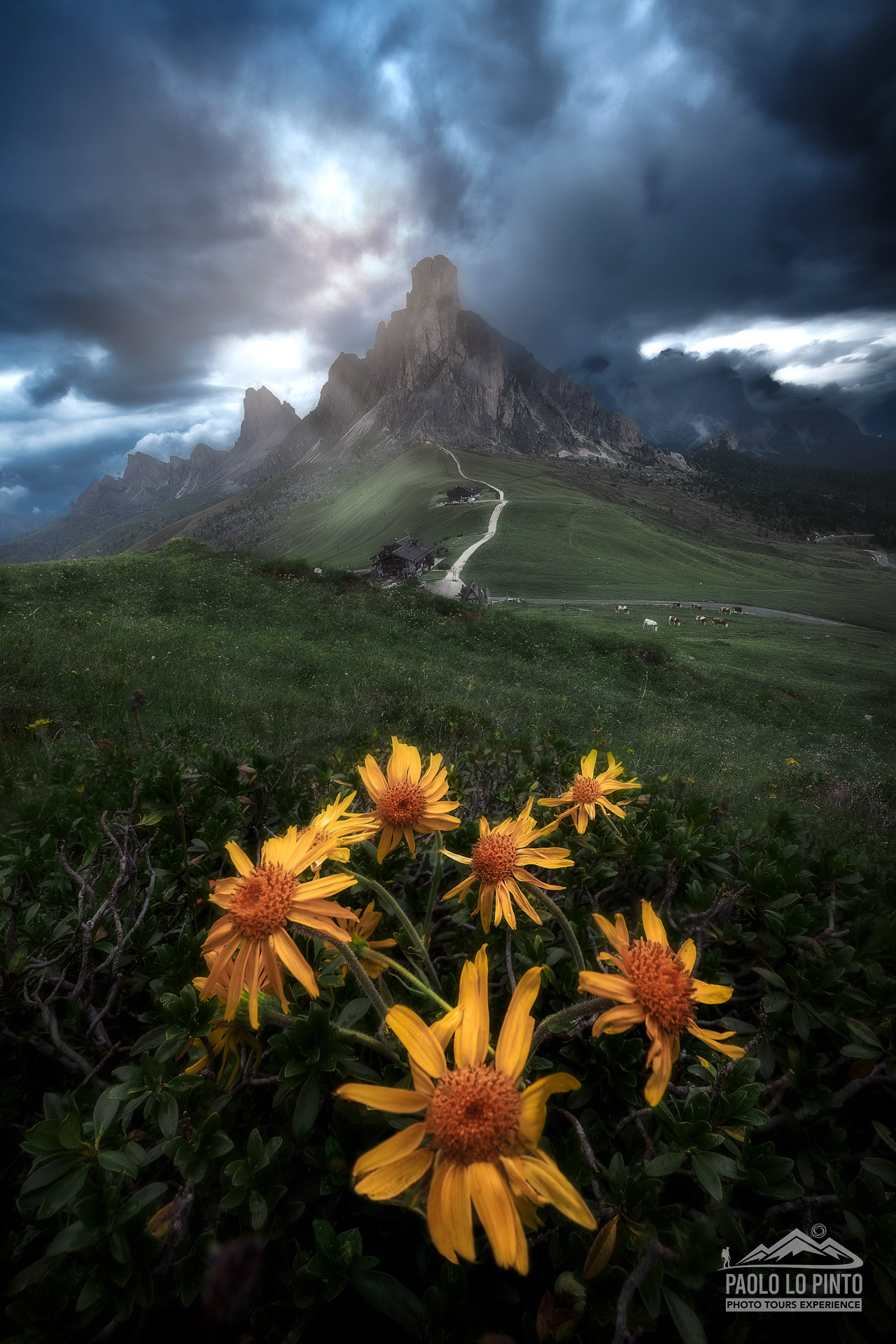 workshop fotografico nelle dolomiti