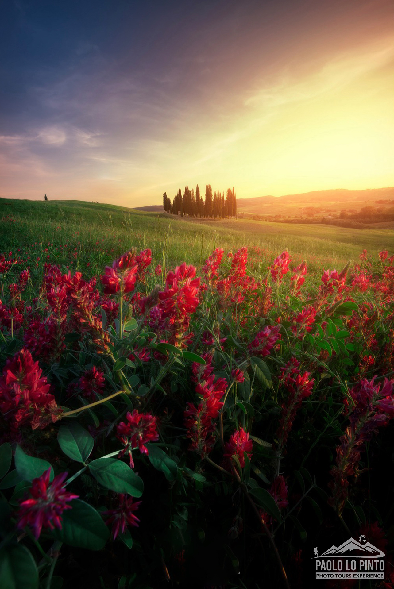 workshop-fotografico-val-d'orcia-sunset workshop fotografico in val d'orcia