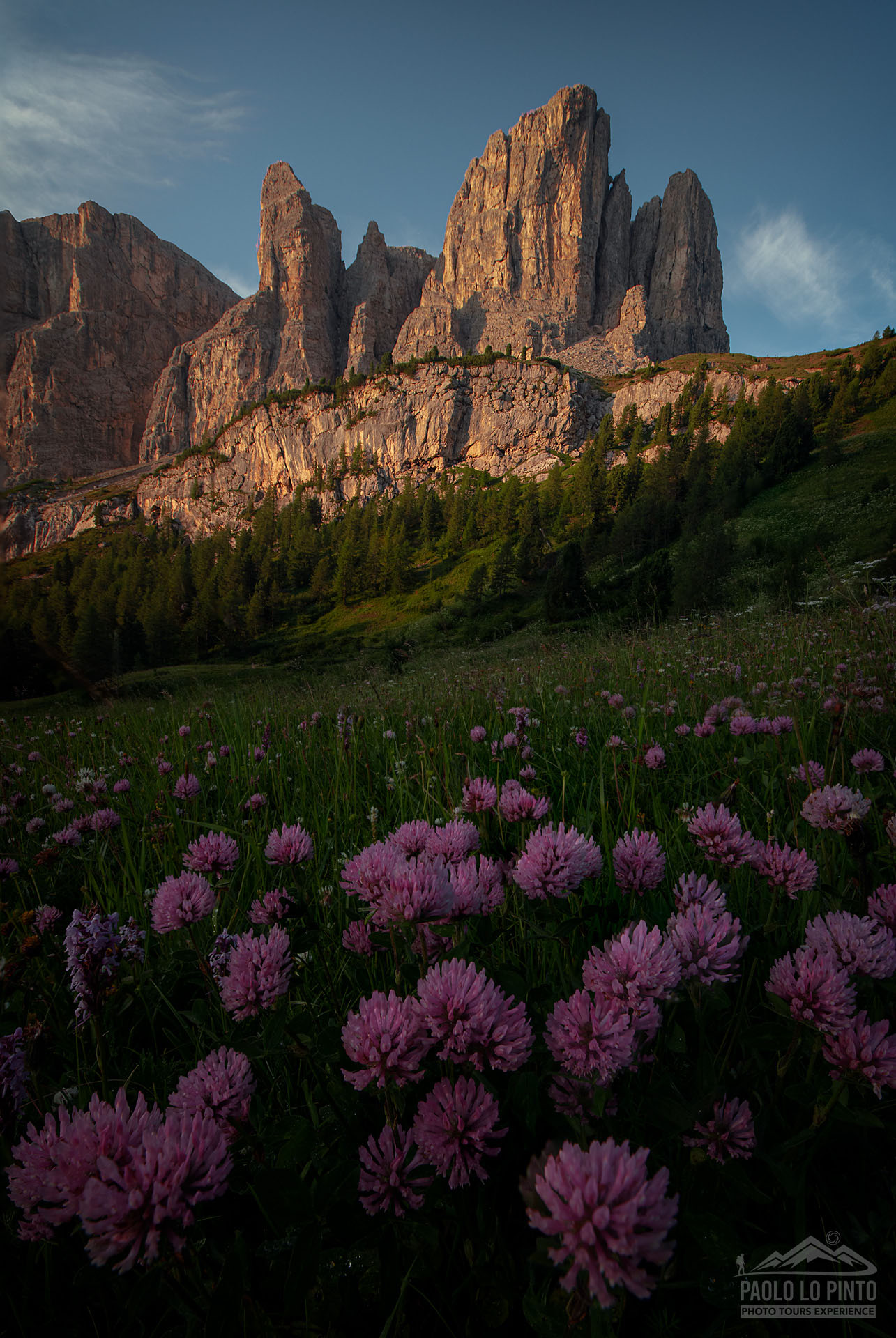 gardena-violet workshop fotografico nelle dolomiti tre cime lavaredo fiori gialli
