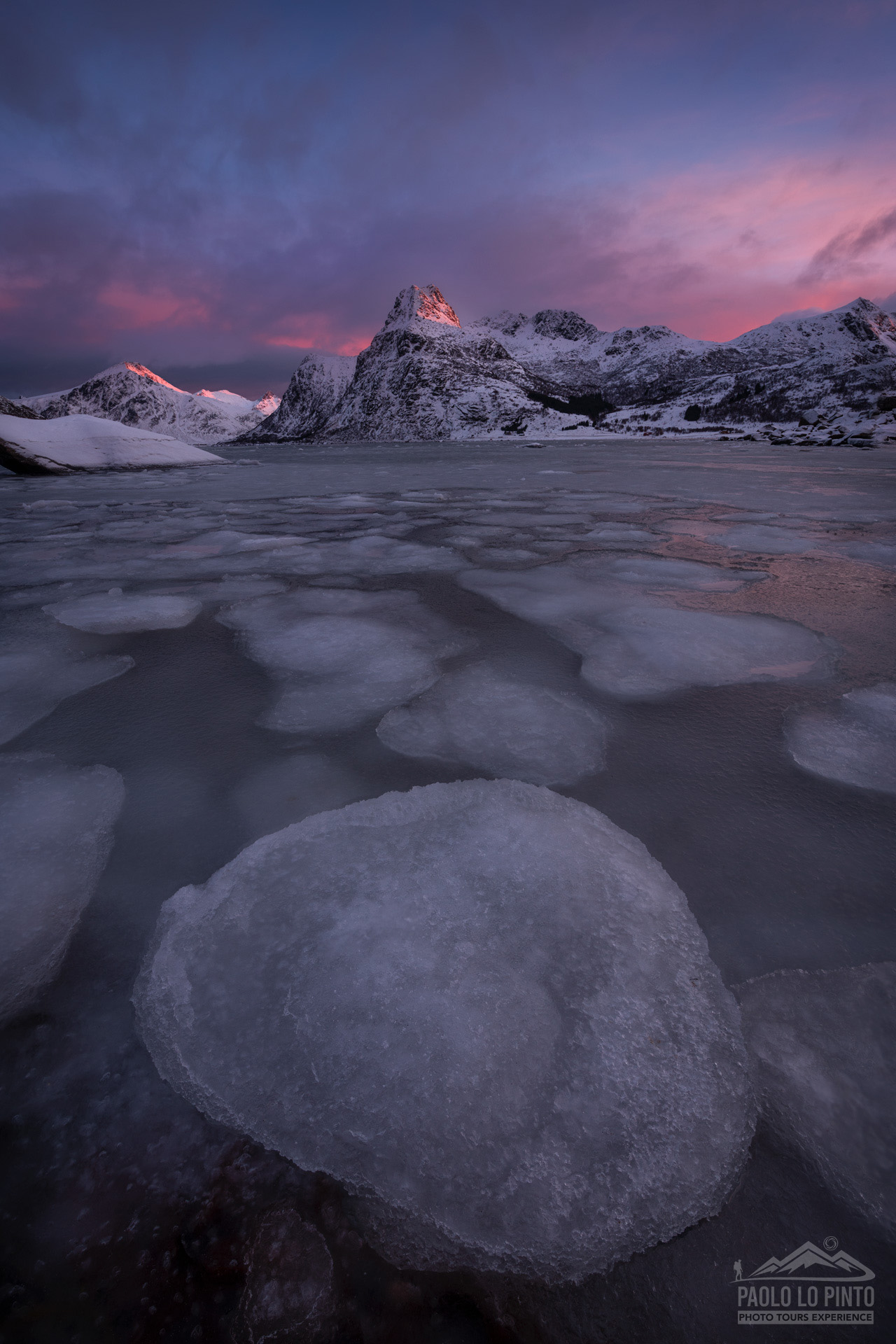 viaggio fotografico isole lofoten luce rosa artica all'alba