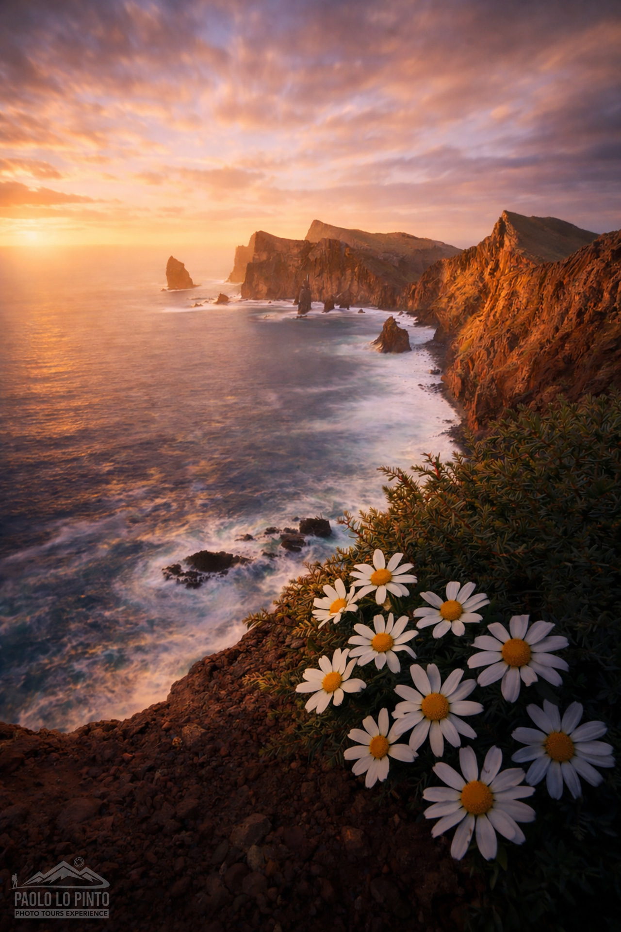 viaggio-fotografico-madeira-costa-sud viaggio fotografico a madeira alba da ponta do rosto tra scogliere e fiori