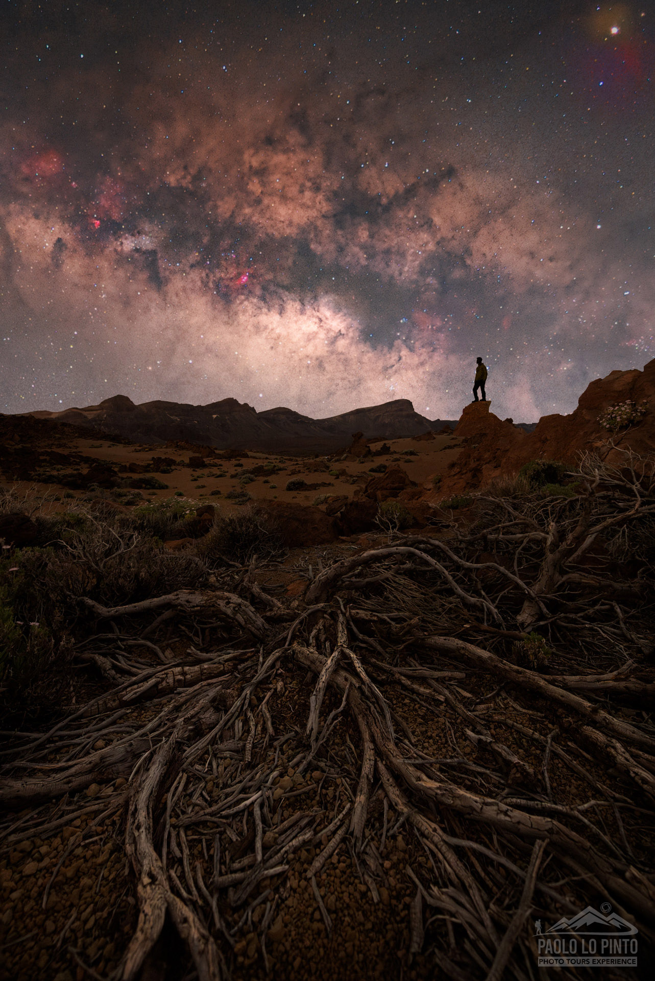 viaggio-fotografico-tenerife-parco teide-via-lattea viaggio fotografico a tenerife via lattea nel parco nazionale del teide silhouette