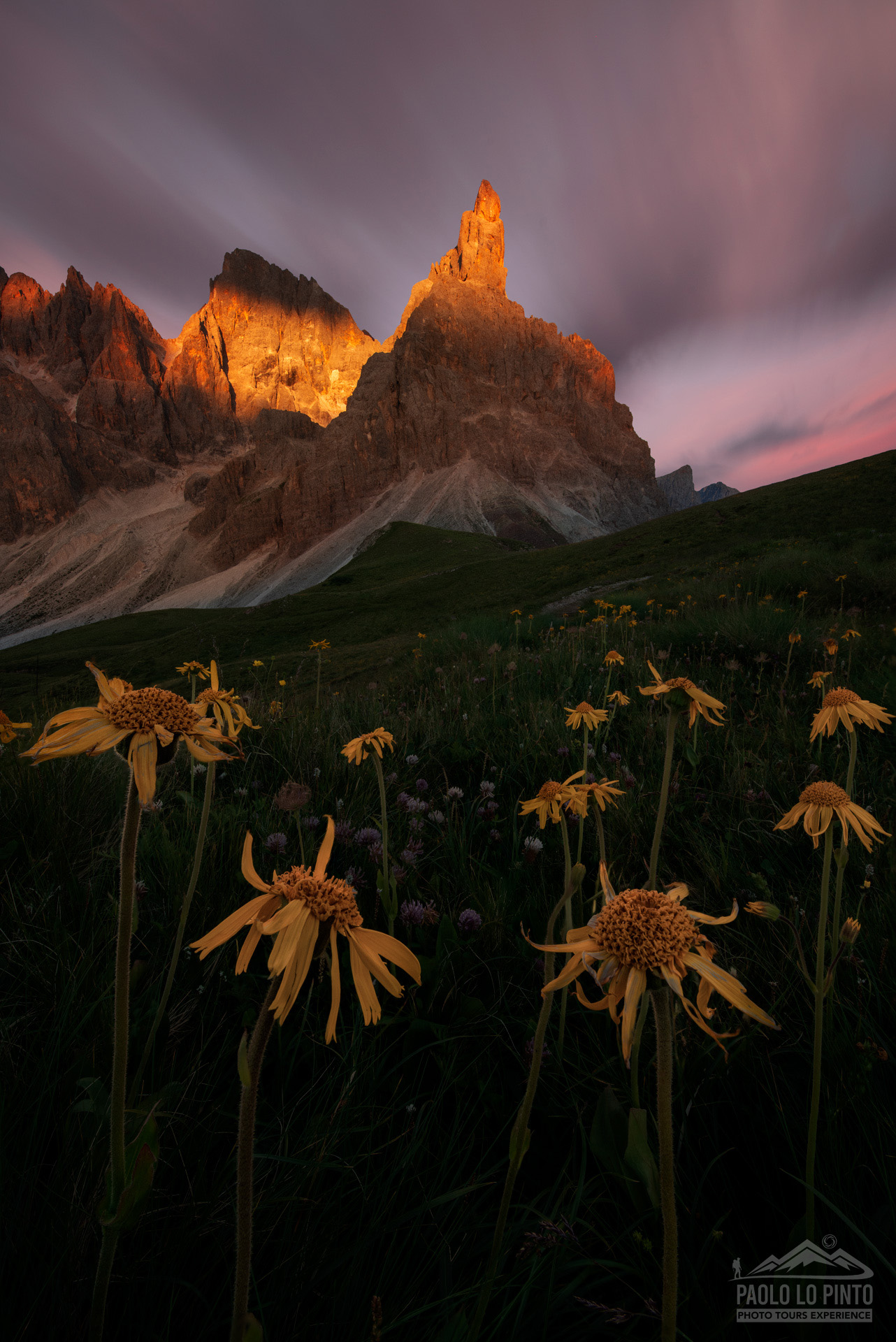 workshop-fotografico-dolomiti-san-martino-castrozza workshop fotografico nelle dolomiti tramonto sul cimone san martino di castrozza