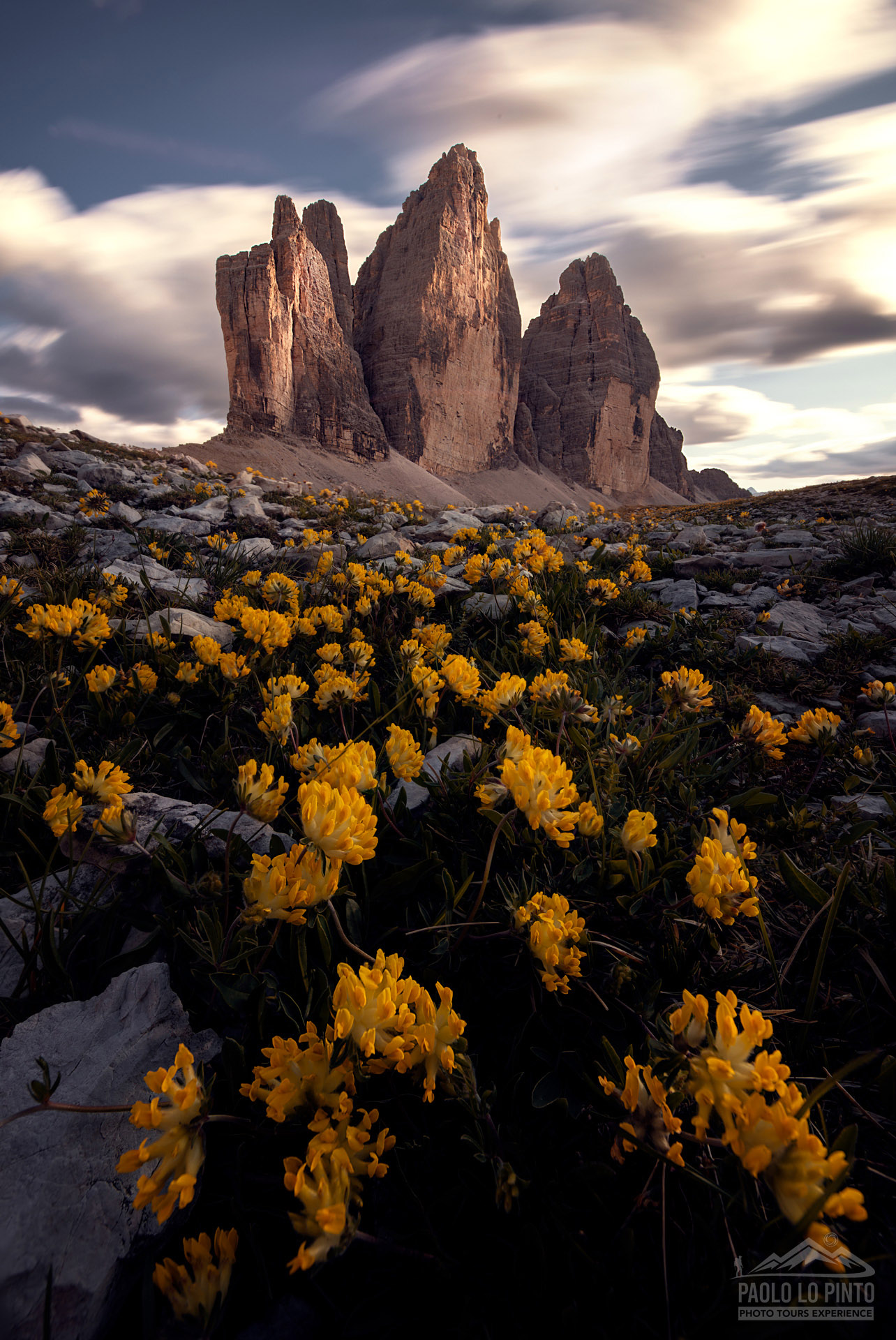 workshop-fotografico-dolomiti-tre-cime-di-lavaredo-fiori-gialli workshop fotografico nelle dolomiti tramonto dalla grotta sulle tre cime di lavaredo