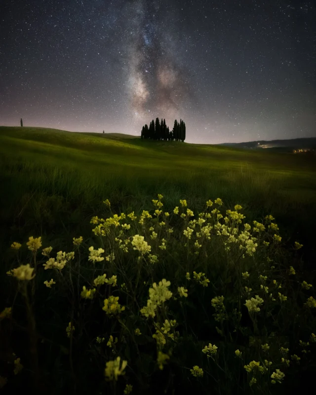 MAGIC TUSCANY 🌼✨

Hai mai fotografato la Val d’Orcia in primavera? I colori dei fiori contrastano con le morbide colline verdi dando vita a scenari unici e suggestivi.

Dal 31 maggio al 1° giugno, non perdere l’occasione di partecipare a un workshop straordinario: due giorni immersi nella natura, per catturare la bellezza di questi paesaggi incantevoli, sia di giorno che sotto il cielo stellato ✨

📍 Val d’Orcia
🗓️ 31 maggio - 1 giugno
🔥 ULTIMI 2 POSTI!

(Link in bio)

#valdorcia  #tuscanylandscape #landscapephotography #milkyway #nightphotography  #italytravel  #workshopfotografico #astrophotography #valdorciadreaming